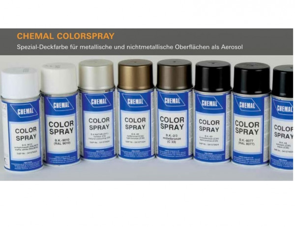 Colorspray 150 ml zur Reparatur von eloxierten und beschichteten Oberflächen gee Hauptvariantenartik